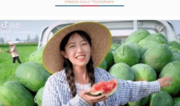 河南吃瓜爆料15岁女孩,真相背后引人深思”