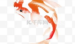 锦鲤漫画图片,好运连连，欢乐满溢